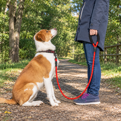 1.5M Reflective Dog Leash with Padded Handle