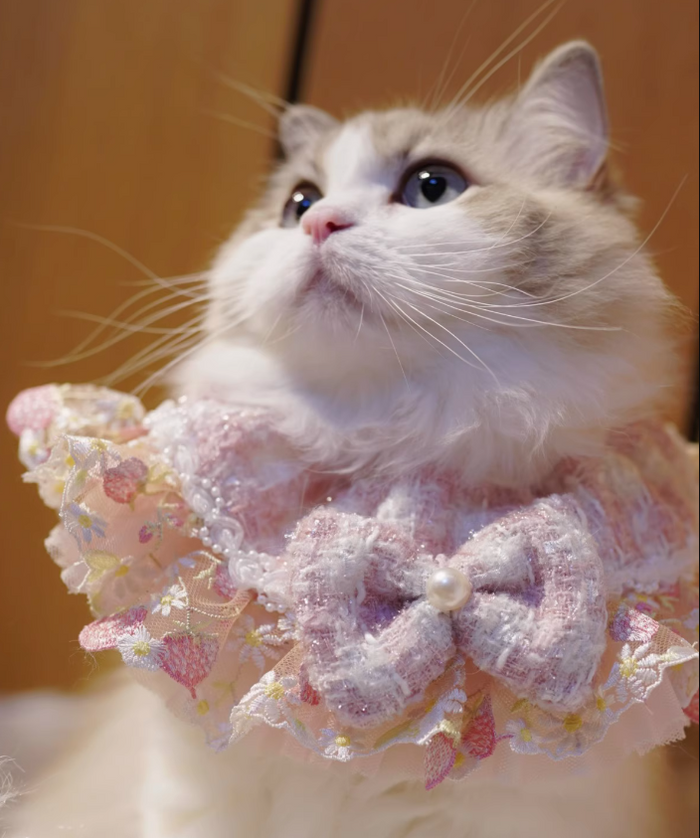 B.Bing Bouclé Bibs Strawberry Sweet Heart
