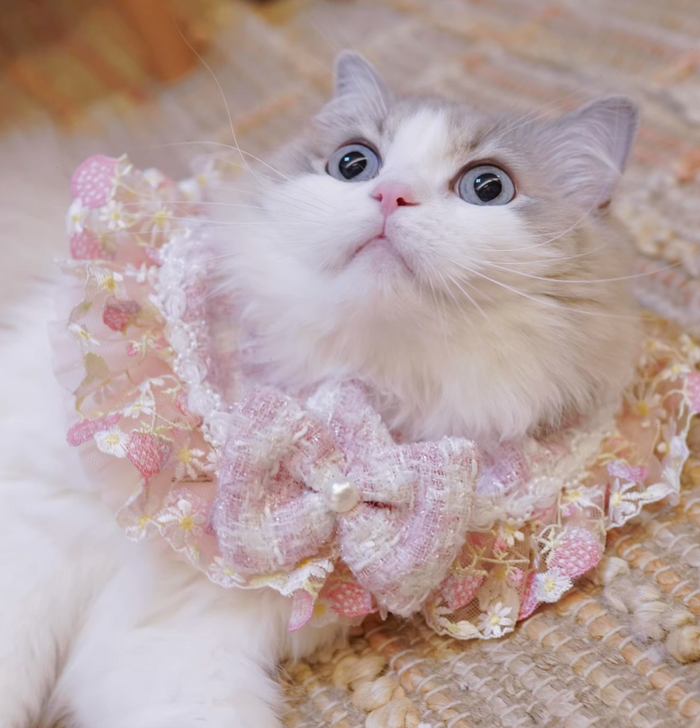 B.Bing Bouclé Bibs Strawberry Sweet Heart