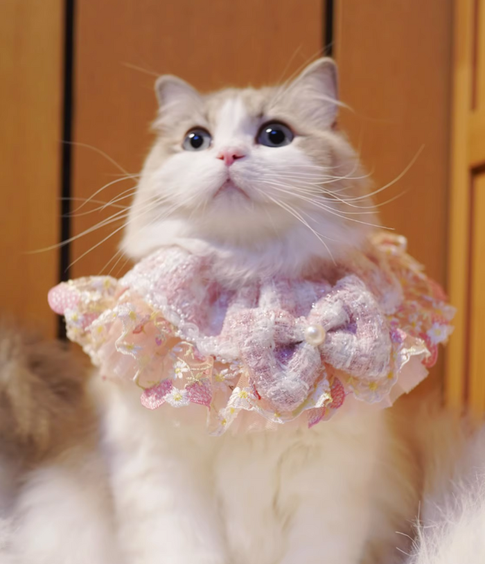 B.Bing Bouclé Bibs Strawberry Sweet Heart