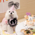 Black Pink Birthday Bib Set