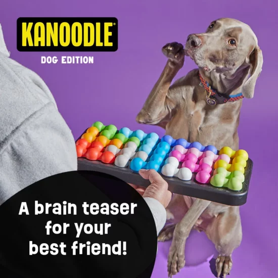 Brightkins Kanoodle Dog Edition Large Puzzle