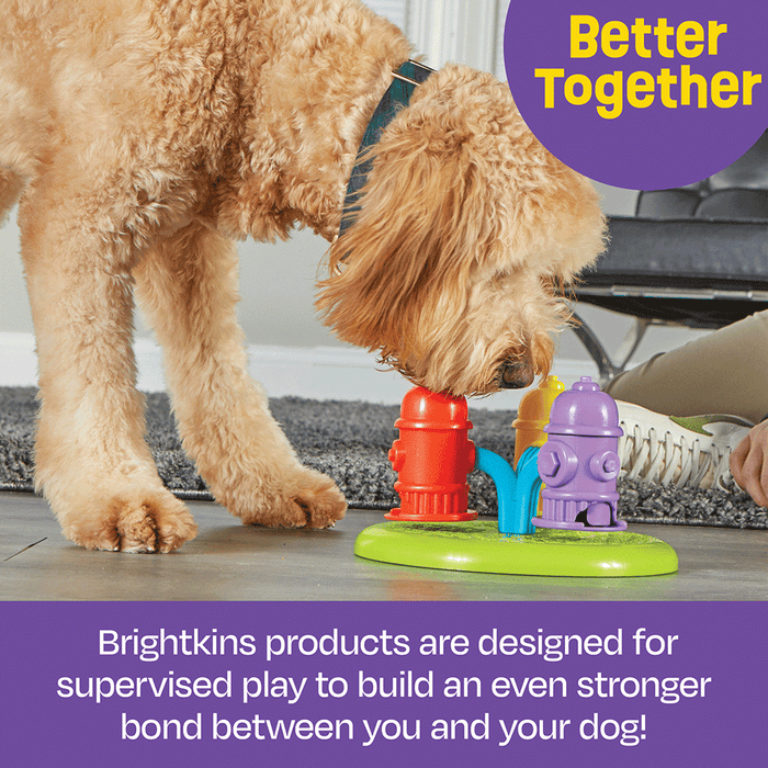 Brightkins Spinning hydrants Interactive Puzzle