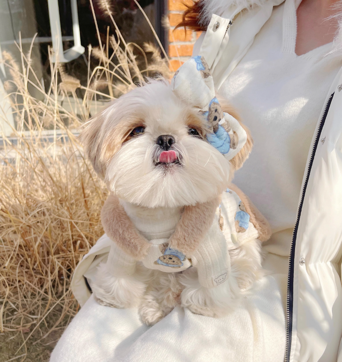 BUBU Teddy Bear Winter Dress