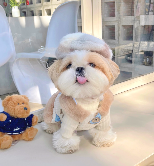 BUBU Teddy Bear Winter Dress