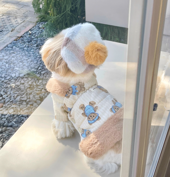 BUBU Teddy Bear Winter Dress