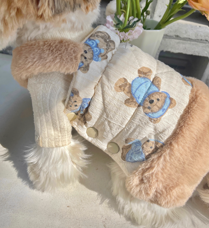 BUBU Teddy Bear Winter Dress
