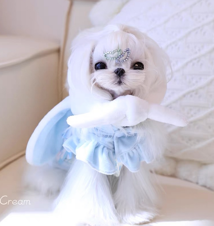 Cinnamoroll Hooded Puffer Coat