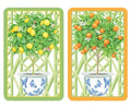 Citrus Topiares Playing Cards