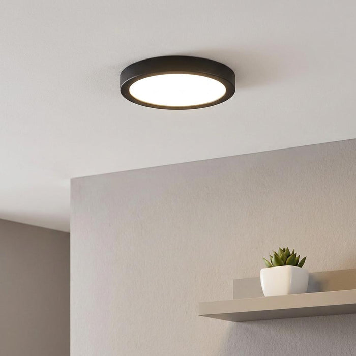 Round black LED flush ceiling light illuminating a minimalist room with a small succulent plant on a shelf.