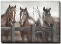 Fabulous Four Horses