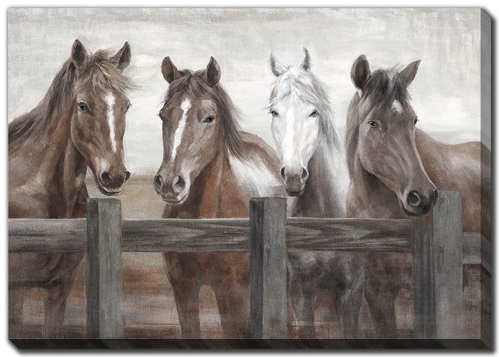 Fabulous Four Horses