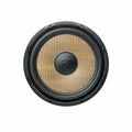 Focal-Flax Evo P 30 FSE-12" (30cm) Subwoofer-masori-kaufen