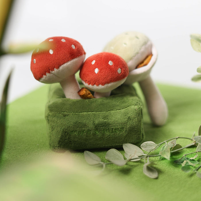 Forest Mushroom Nosework Toy