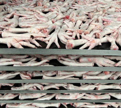Freezy Paws Freeze Dried Chicken Feet 5pcs