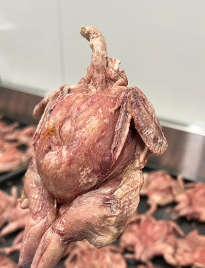 Freezy Paws Freeze-Dried Whole Quail Large