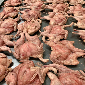 Freezy Paws Freeze-Dried Whole Quail Large