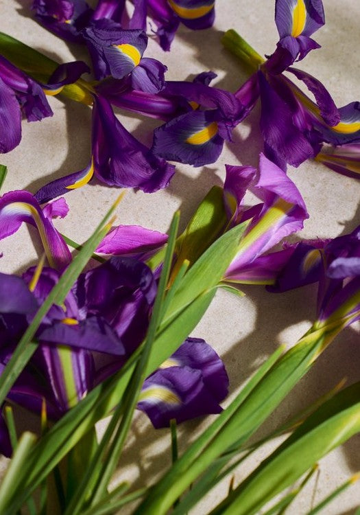 Full Iris Eau De Parfum