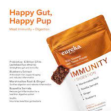 Functional Treat-Immunity+Digestion 100g
