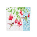 Fuschia and Hummingbird