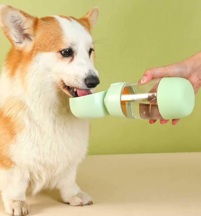 JC Lightweight Travel Water Bottle