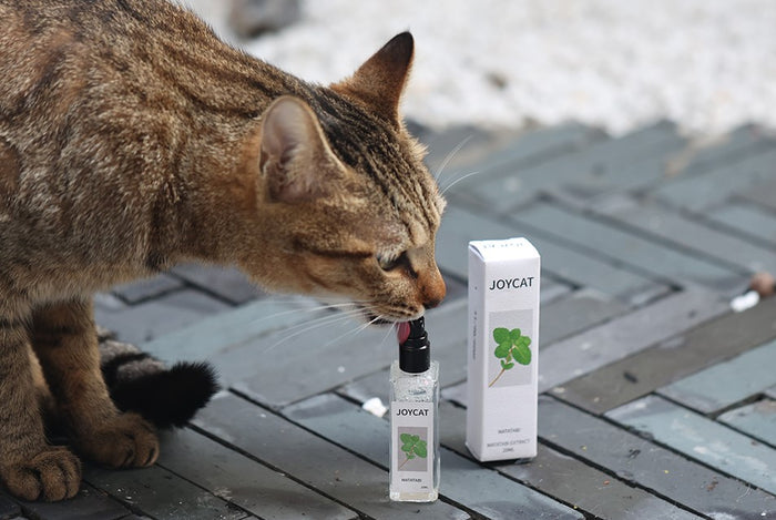 JoyCat Cat Matatabi Extract Spray 20ml