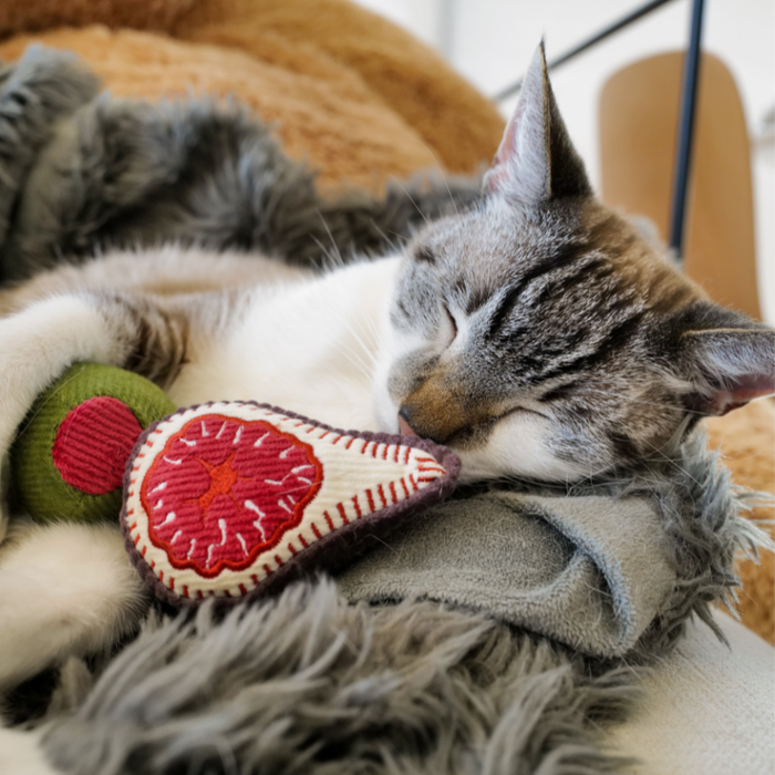 Kitty Olive + Fig