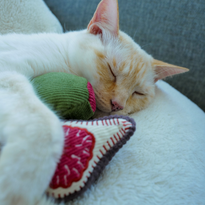 Kitty Olive + Fig