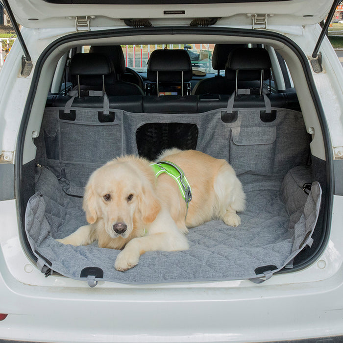 LDLC Multi-Use Car Protector