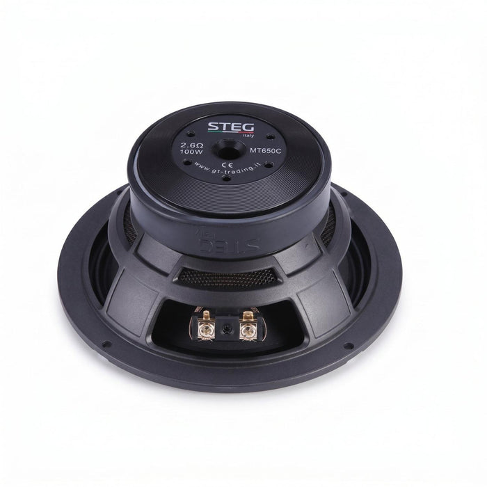 Steg-MT650WF-II-6.5" (16,5cm) Tiefmitteltöner-masori-kaufen