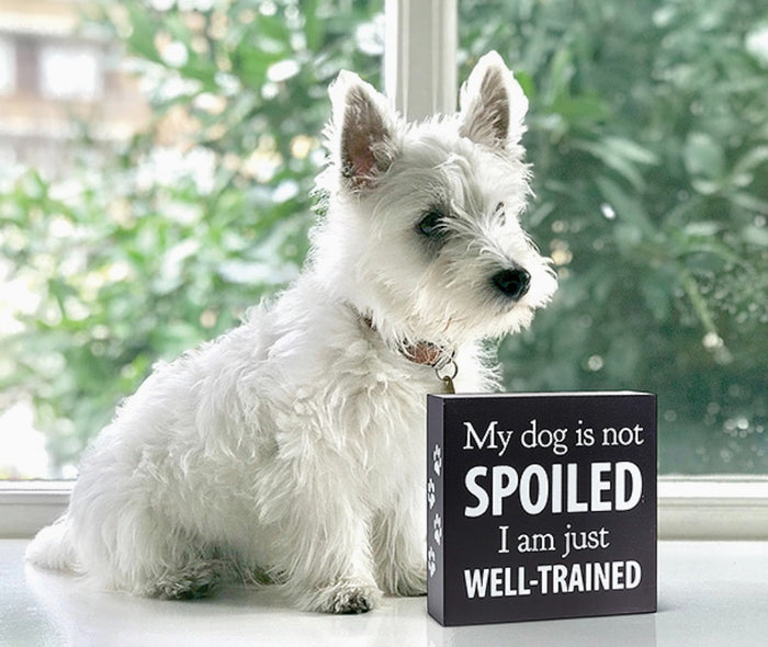 My Dog is Not Spoiled Block-5.5" Sq