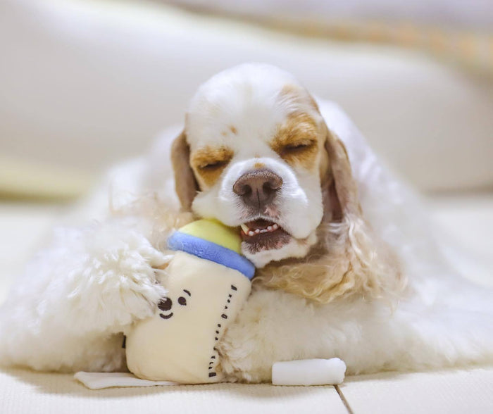 MyFluffy Milk Bottle Snuffle Toy Set