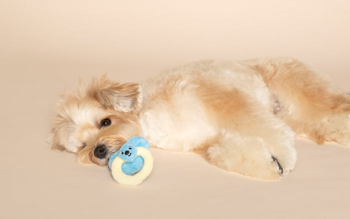 MyFluffy Milk Bottle Snuffle Toy Set