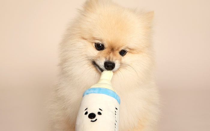 MyFluffy Milk Bottle Snuffle Toy Set