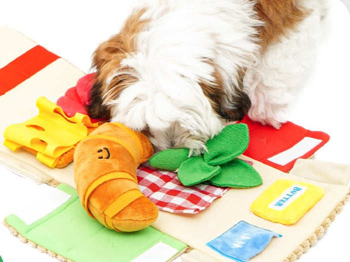 MyFluffy Picnic Basket Snuffle Toy Set