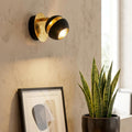 Modern black and gold leaf wall spotlight illuminating a textured interior wall with a plant and picture frame.