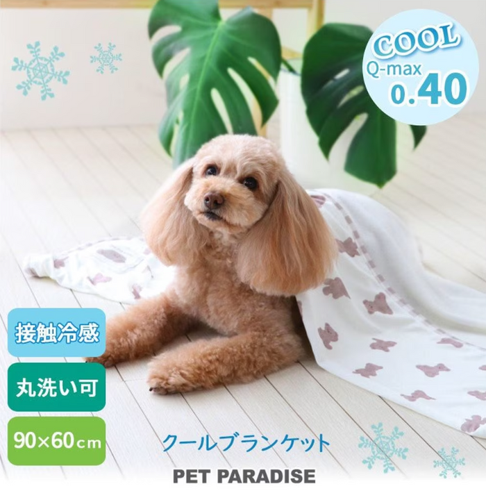 Pet Paradise Kuma-Chan Cool Blanket