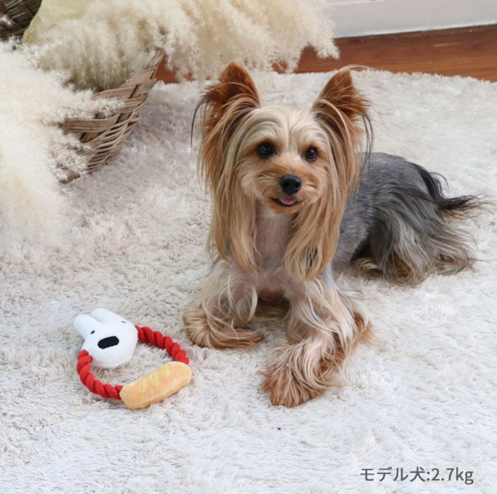 Pet Paradise Lisa&Gaspard Rope Toy