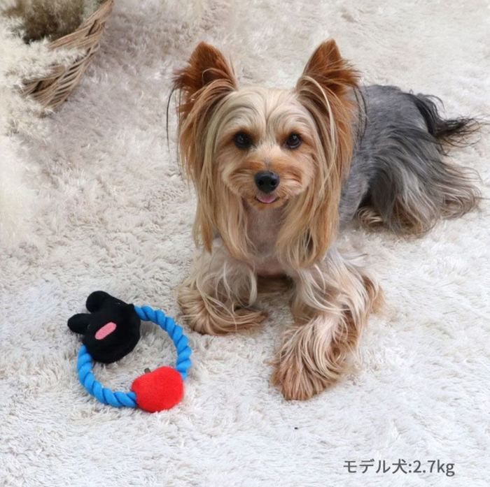 Pet Paradise Lisa&Gaspard Rope Toy