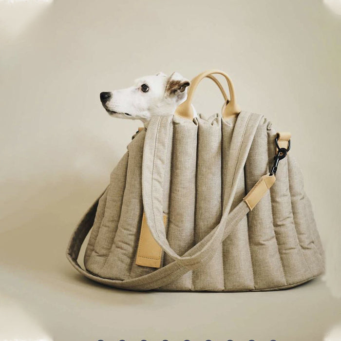 Pet Travel Carrier