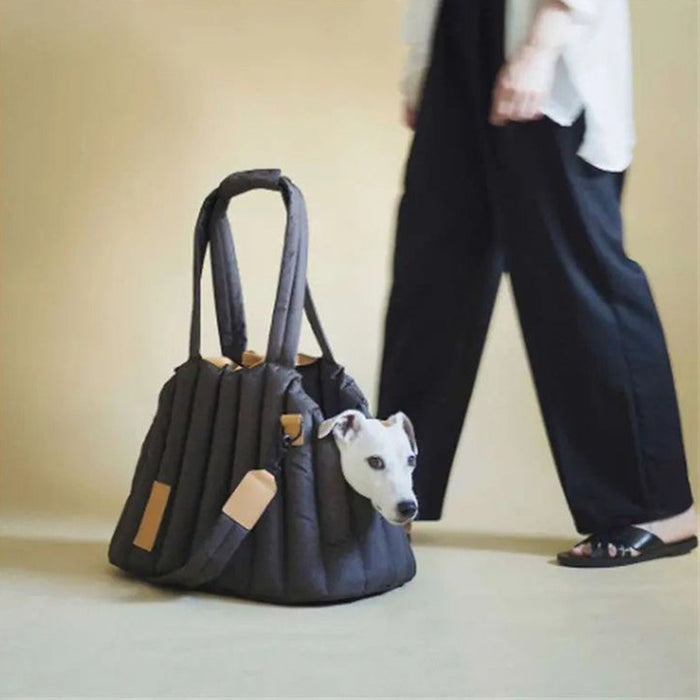 Pet Travel Carrier