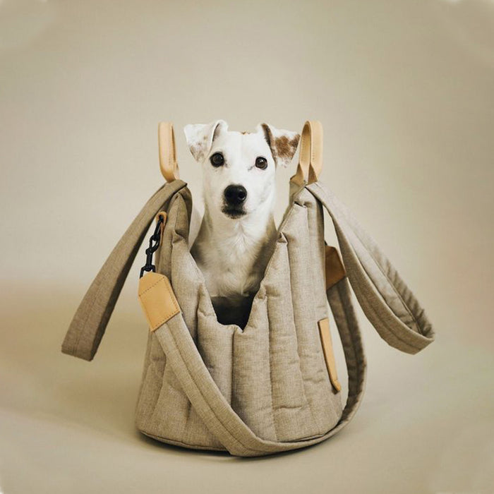Pet Travel Carrier