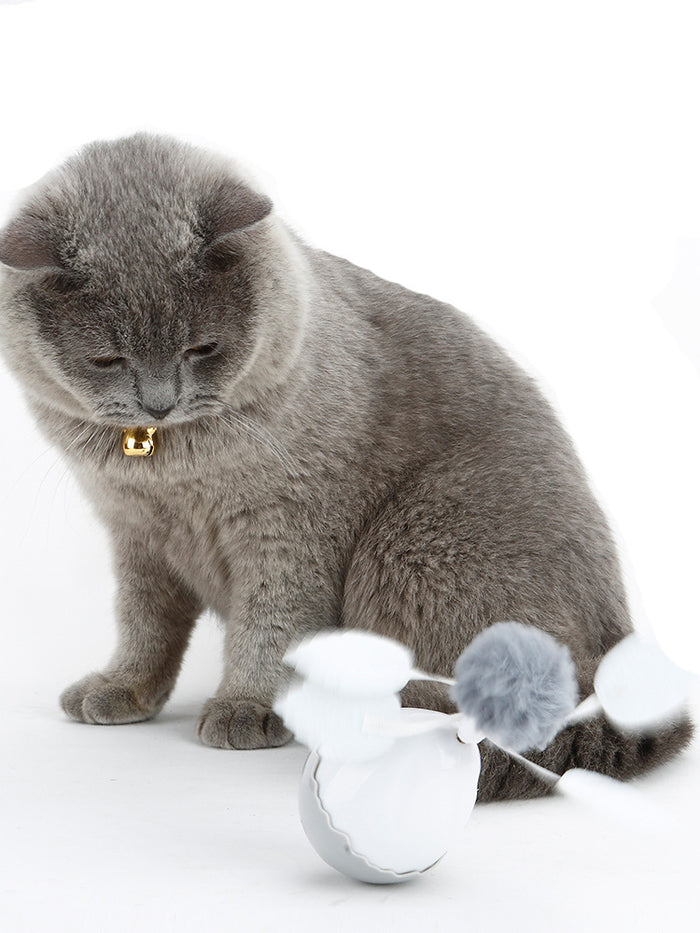 PetGravity Cat Dancing Egg
