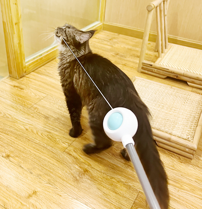 PetGravity MultiOne Cat Teaser with Laser