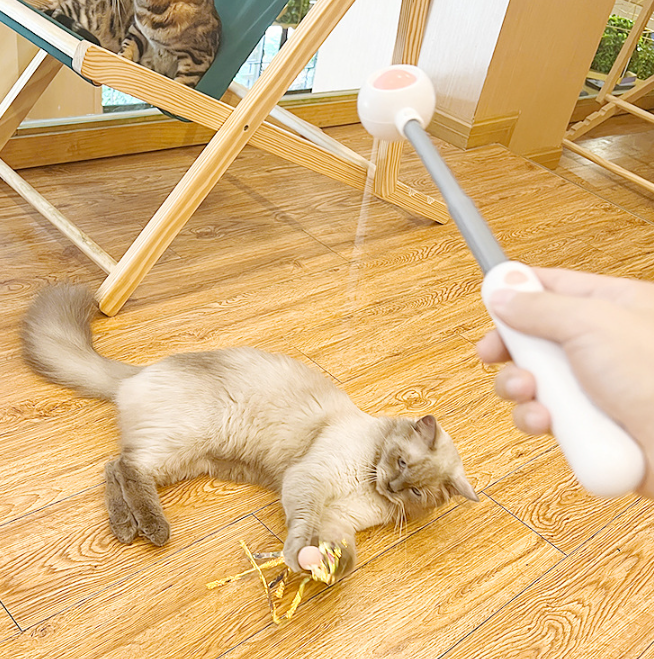 PetGravity MultiOne Cat Teaser with Laser