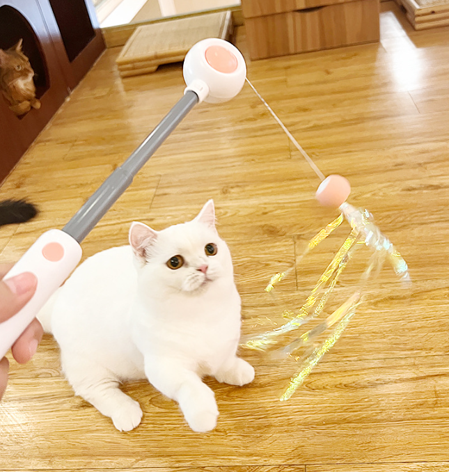 PetGravity MultiOne Cat Teaser with Laser