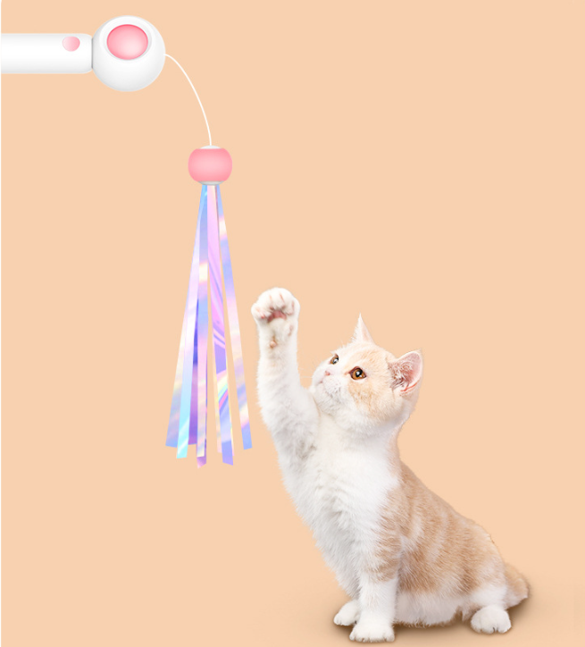 PetGravity MultiOne Cat Teaser with Laser