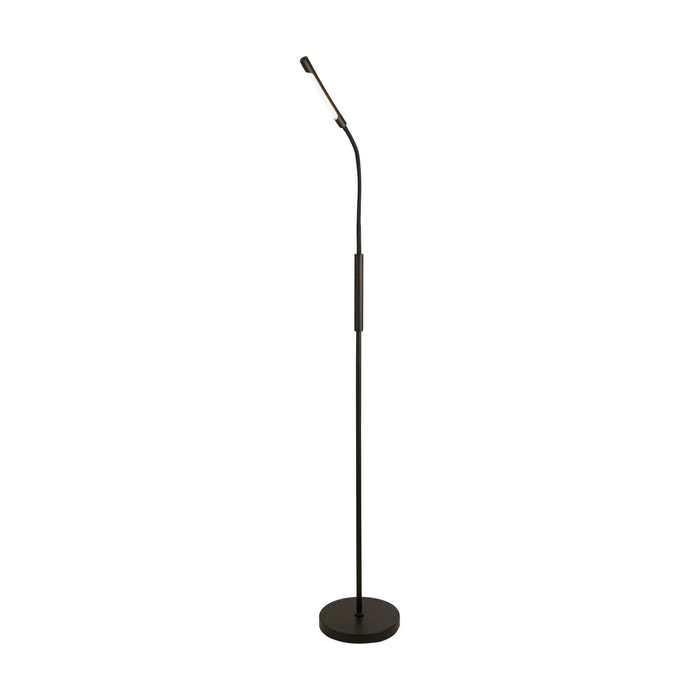 Plume black rechargeable floor lamp lit with a flexible gooseneck head on a round base