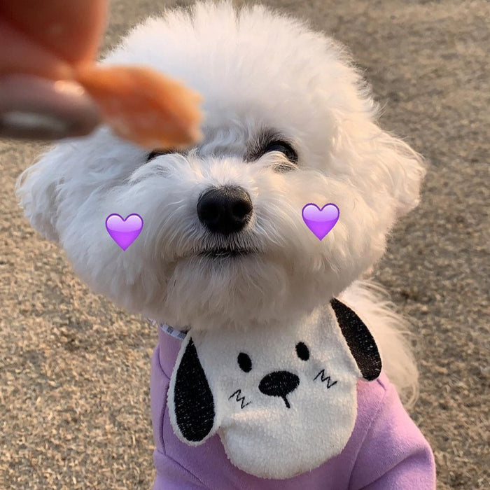 Pochacco Little Bib
