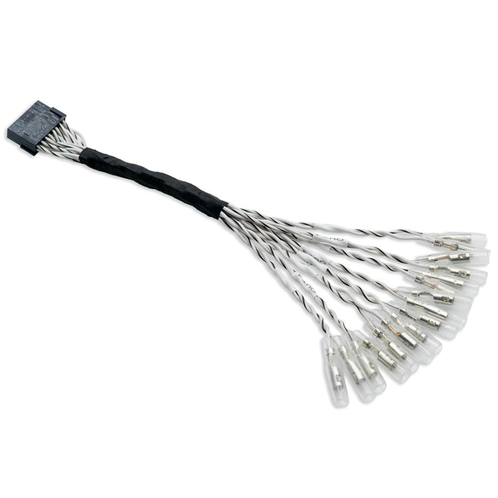 Audison-Prima AP BYPASS-Verstärker-Zubehör-masori-kaufen